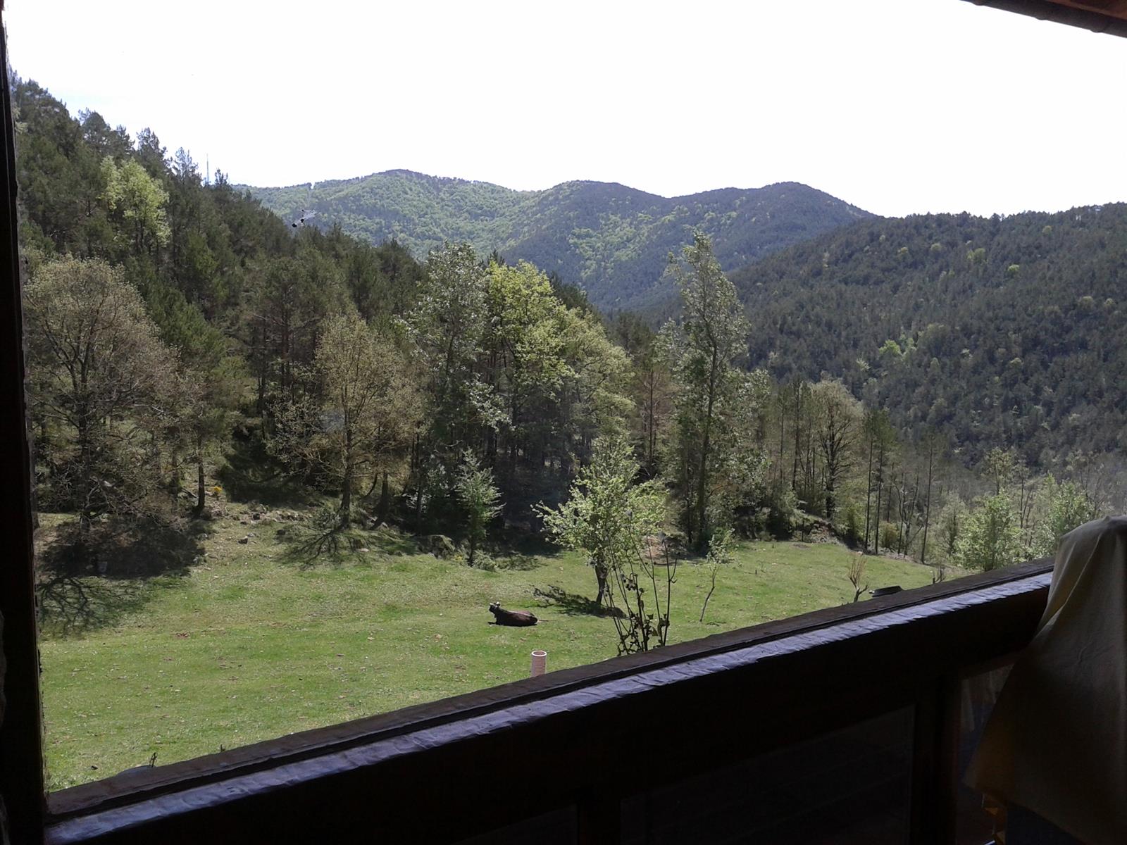 Casa en finca rústica de Can Cubell, con 6,5 hectáreas de terreno, en Ripoll · fotografía 22